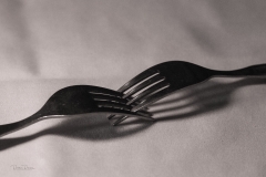 Forks